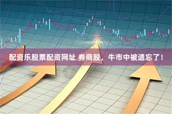 配资乐股票配资网址 券商股，牛市中被遗忘了！